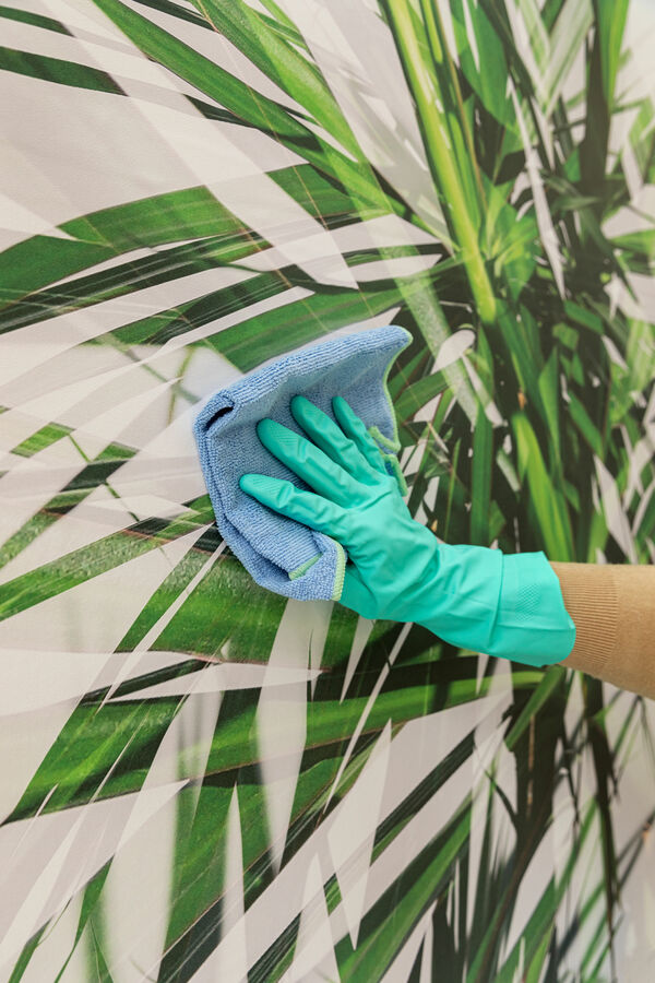 someone cleaning a customized digital printed wallcovering